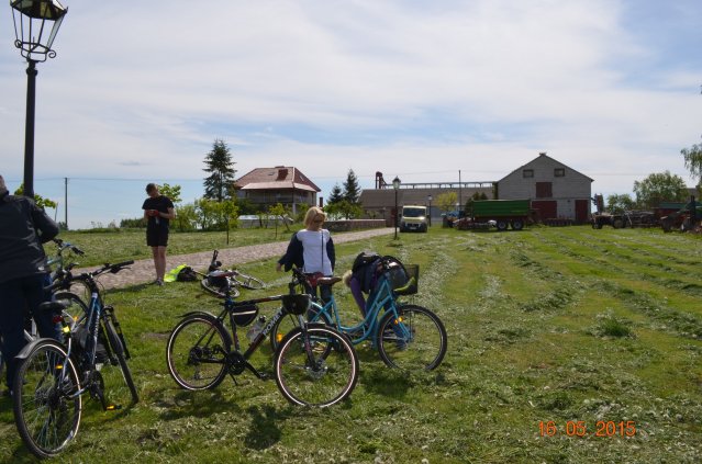 marsz g 2015 245 kopiowanie